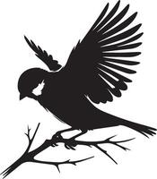 Sparrow silhouette illustration on white background. Sparrow logo. vector