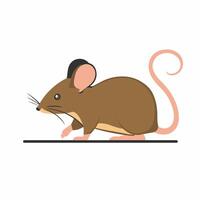 Cartoon mouse set. Grey furry rodent little rat with pink hairless tail walking or sitting isolated on white. illustration for pet, animal, wildlife concept vector