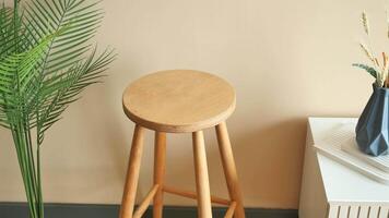 Wooden stool and potted plant complement rooms interior design video