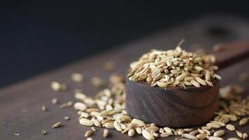 cumin seeds on spoon on table , close up video