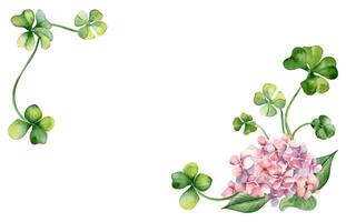 Banner with pink hydrangea and clover watercolor illustration isolated on white. Painted colorful flowers Easter card. Hand drawn Irish symbol. Design for St.Patricks day, springtime frame, package vector
