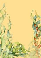 acuarela marco de laminaria ilustración aislado en beige antecedentes. ascophyllum quelpo mano dibujado. pintado mar plantas, hierba algas marinas. diseño elemento para paquete, etiqueta, publicidad, marina tarjeta vector