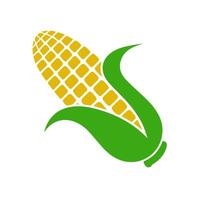 Corn On The Cob vector