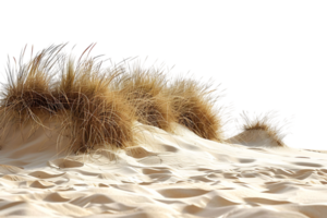 Sand dunes on isolated transparent background png