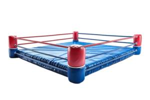 boxe cage sur isolé transparent Contexte png