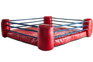 Boxing cage on isolated transparent background png