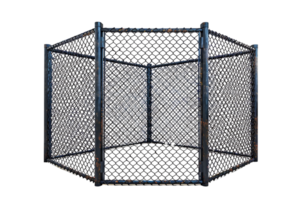 Boxing cage on isolated transparent background png