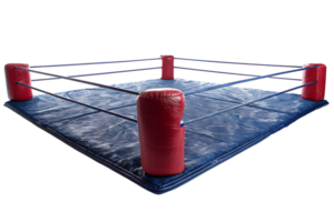 Boxing cage on isolated transparent background png