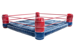 Boxing cage on isolated transparent background png