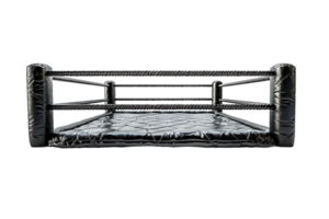 Boxing cage on isolated transparent background png