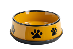 Pet food bowl on transparent background png