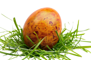egg on grass on transparent background png