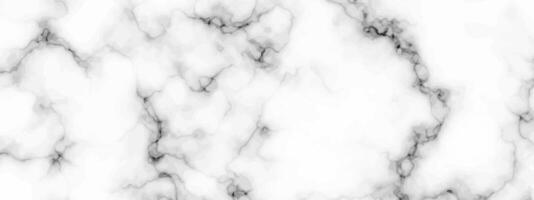 White marble texture background vector