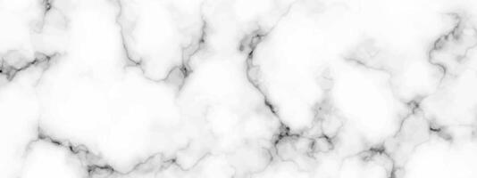 White marble texture background vector