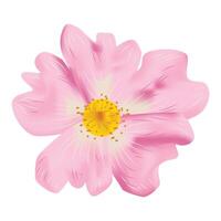 Pink Spring Time Flowers vector