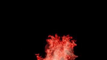 3d rendering rising fire animation isolated on dark background video