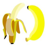 un conjunto de brillante de colores plátanos, abierto y cerrado. aislado frutas uno banana, pelado plátano varios sombras de amarillo en blanco con amarillo formas fresco, natural vitaminas colección vector