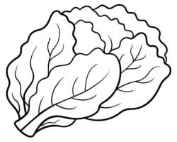 Black and White Cartoon Illustration of Cabbage vector