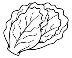 Black and White Cartoon Illustration of Cabbage vector