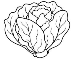 Black and White Cartoon Illustration of Cabbage vector