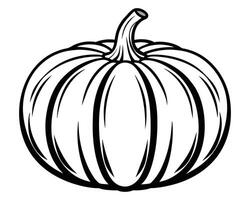 Pumpkin for coloring Line art design vector