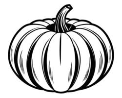 calabaza para colorante línea Arte diseño vector