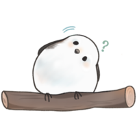 cute white bird on tree branch png