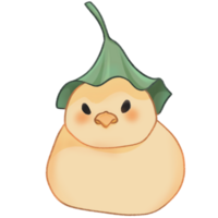 A duck with a lotus leaf on its head png