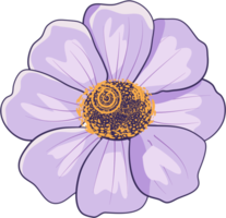 capitule violet png