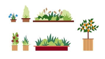 Set of icons of summer bushes with flowers and trees in tubs, hand-drawn in a flat style for the design and decoration of maps, urban and park infrastructure vector
