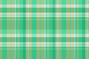 Texture check textile of seamless pattern with a fabric plaid tartan background. vector