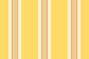 Vertical texture textile of seamless pattern fabric with a background lines stripe. vector