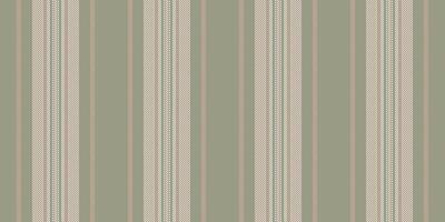 Turkish seamless texture fabric, chinese new year stripe vertical lines. Cotton background textile pattern in pastel and light colors. vector