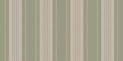 Turkish seamless texture fabric, chinese new year stripe vertical lines. Cotton background textile pattern in pastel and light colors. vector