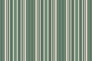 Vertical fabric of background textile seamless with a texture lines pattern stripe. vector