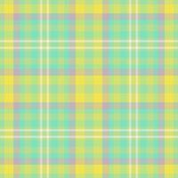 Plaid seamless pattern. Check fabric texture. textile print. vector