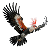 A Red Crowned Hornbill Bird Flying in the air AI-Generative png