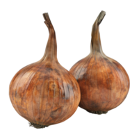 Two Large Onions on a transparent background AI-Generative png