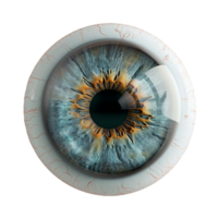 een oog met een blauw iris Aan een transparant achtergrond ai-generatief png