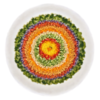 verdura agitare friggere mandala croccante tenero verdure nel un' salato salsa spirale in un' travolgente png