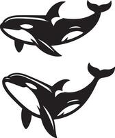 Orcinus orca killer whale silhouette set illustration. vector