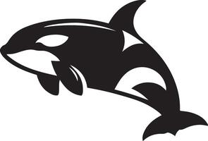 Orcinus orca killer whale silhouette illustration. vector