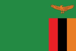 nacional bandera de Zambia. Zambia bandera. vector