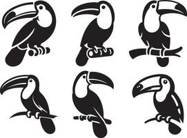 Toucan bird stand on the branch set silhouette illustration. vector