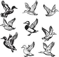 black and white outline of duck vector