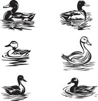 black and white outline of duck vector