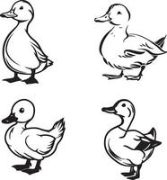 black and white outline of duck vector