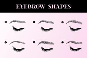 Eyebrow Shapes Chart with Brow Types vector