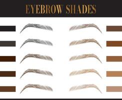 Eyebrows Colors Chart. Elegant Fashion Make Up Illustration vector