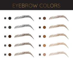 Eyebrows Colors Chart Fashion Make Up Illustration vector